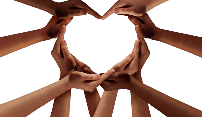 Valores INCUNA LAB